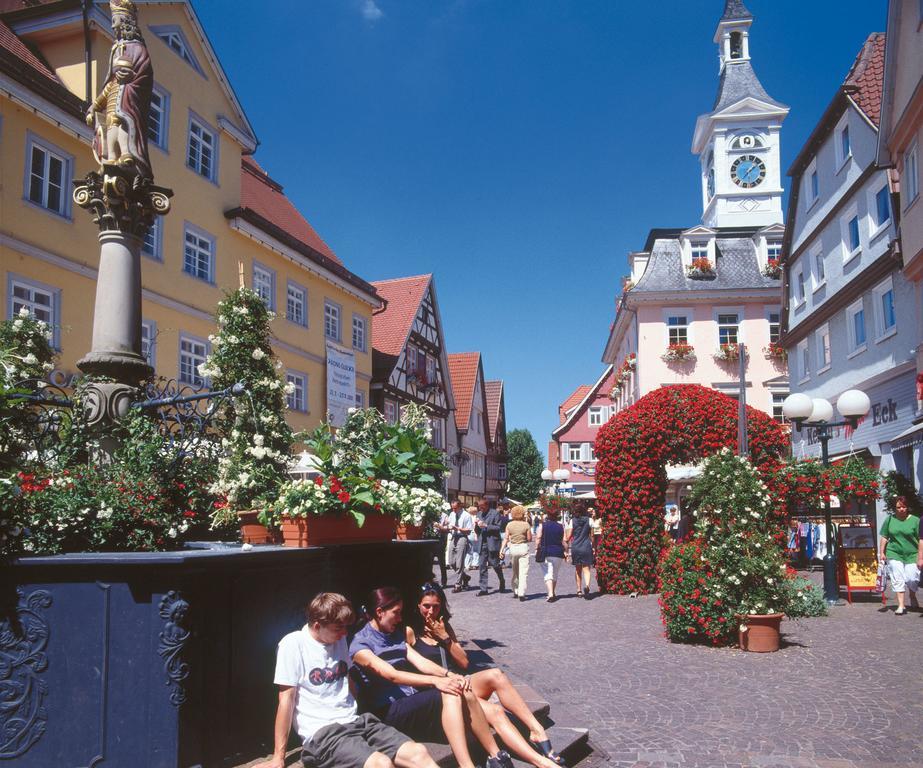 Boutiquehotel Goldhahn Bio Sport & Wellness Aalen Eksteriør bilde